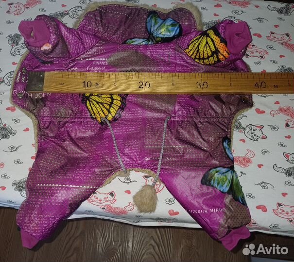 Одежда для собак мелких пород