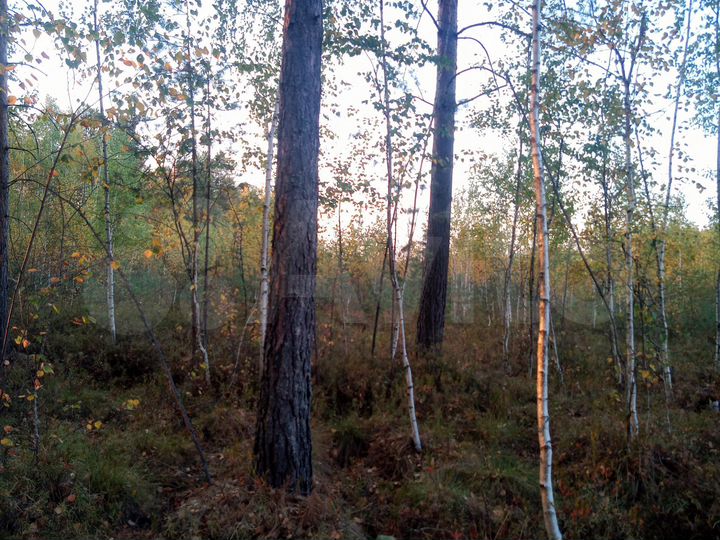 Участок 10,5 сот. (ИЖС)