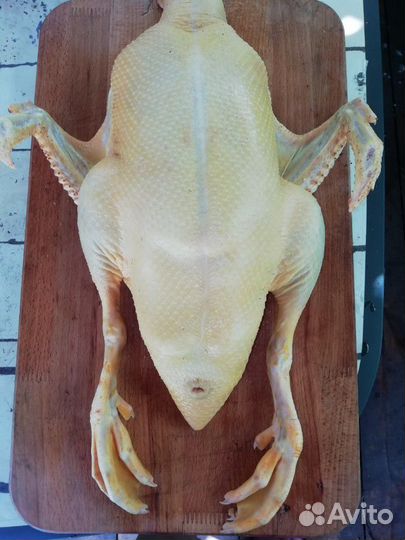 Бройлер мясом, Утка, Индюшка, Петухи