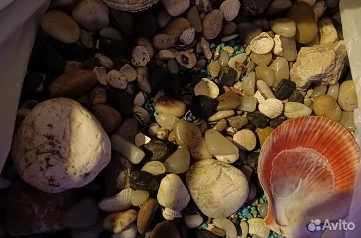 Разные морские камешки