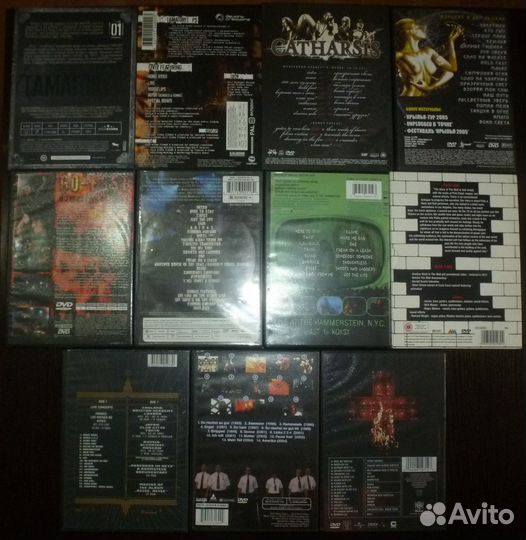 DVD: Catharsis, Korn, Pink Floyd, Rammstein
