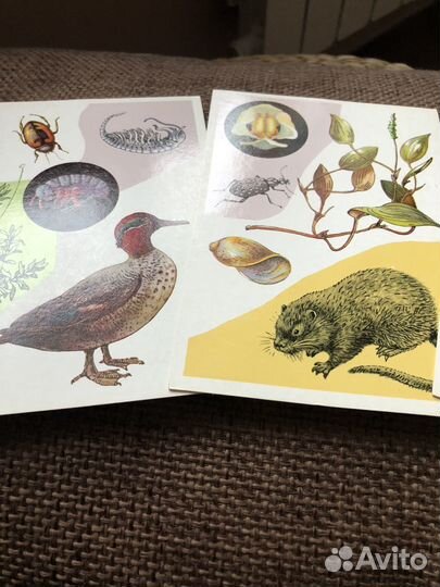 Открытки СССР 1978 год