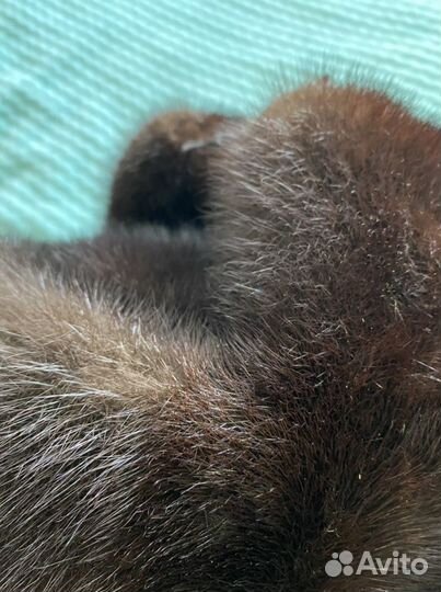 Шапка ушанка мужская норка