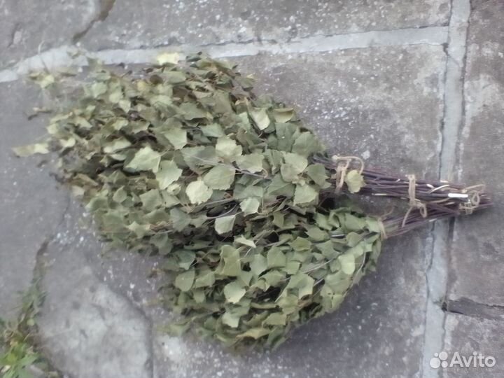 Веники береза, дуб