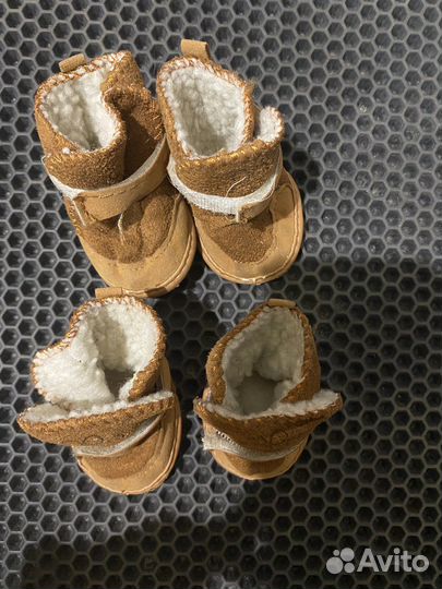 Зимние ботинки для собак и ошейник