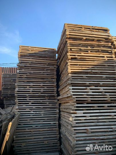 Леса строительные Аренда