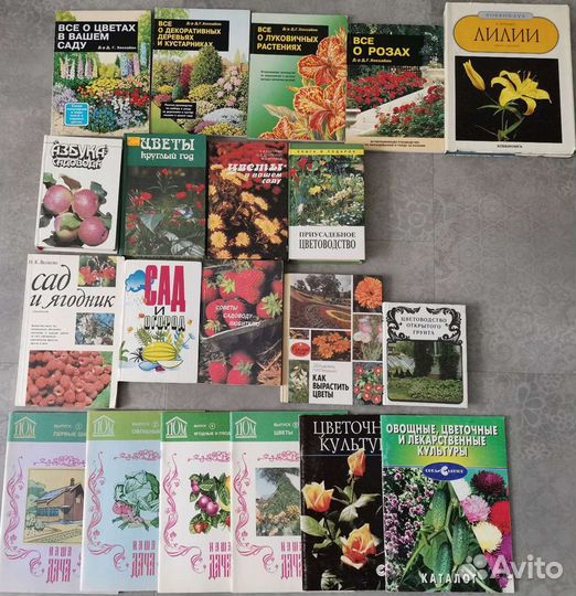 Книги для дачи