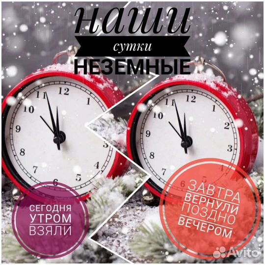 Аренда моющего чудо–пылесоса мощнее Karcher.Италия