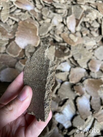 Жмых подсолнечный