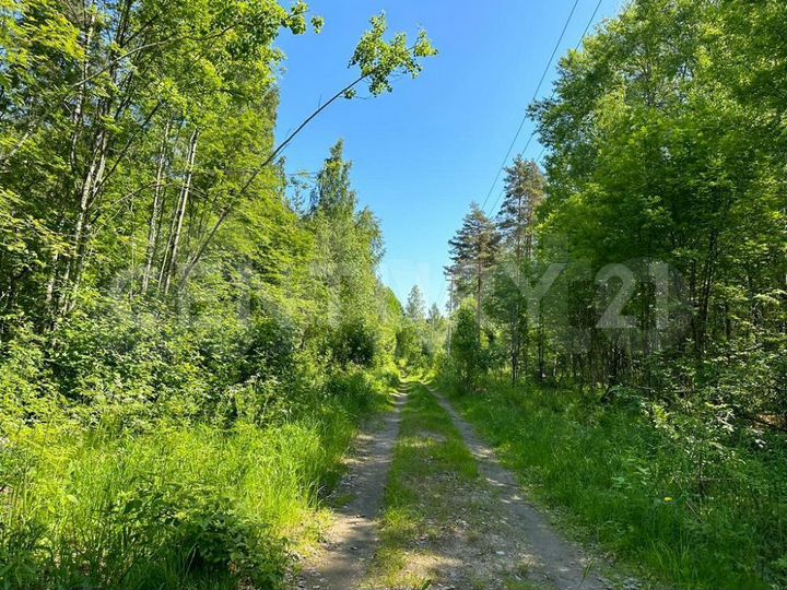 Участок 7,7 га (личное подсобное хозяйство (лпх))