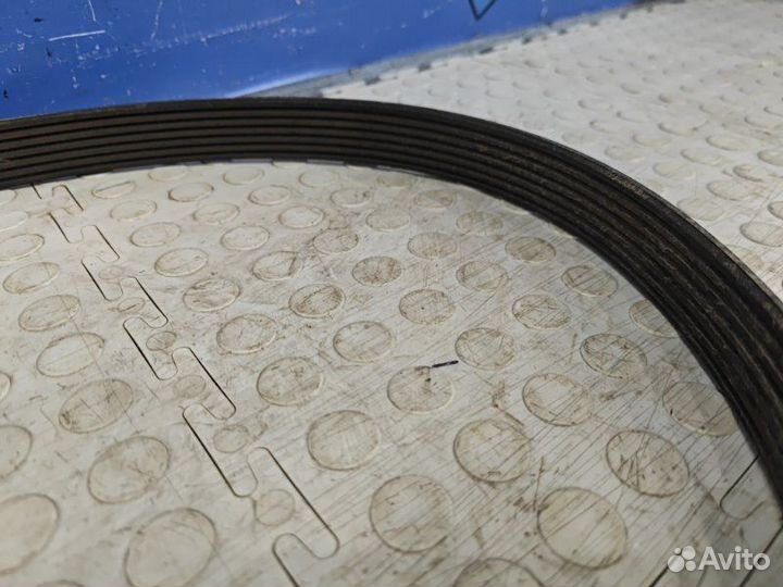 Ремень генератора Nissan Terrano