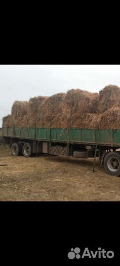 Продам сено в рулонах