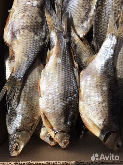 Плотва вяленая Рыбинская