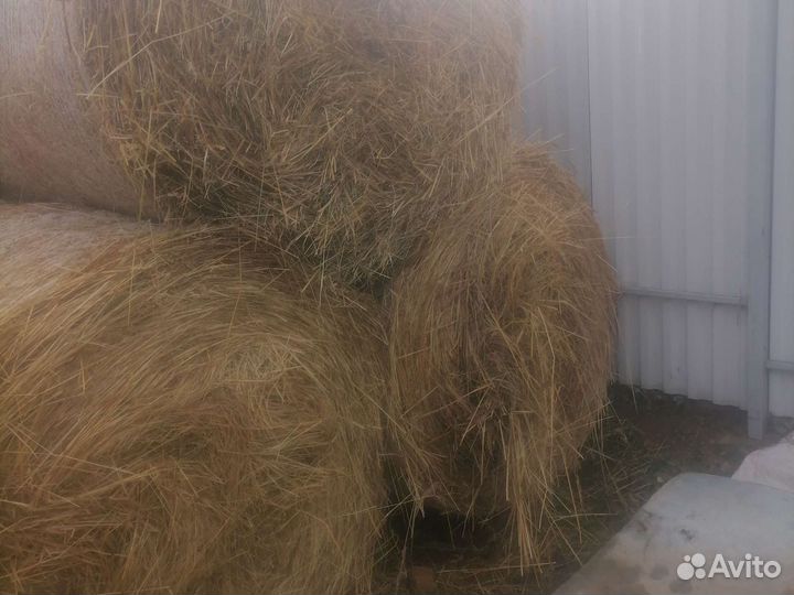 Сено в рулонах доставка