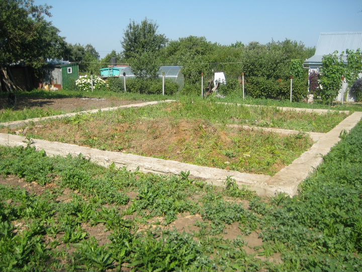 Участок 6 сот. (СНТ, ДНП)