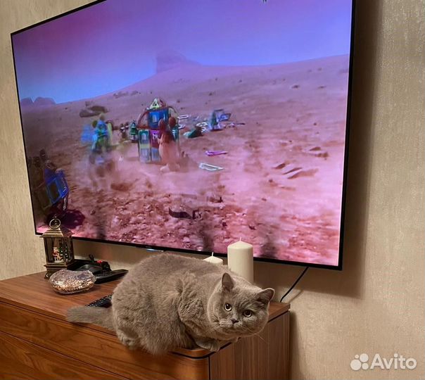 Монтаж телевизора на стену / Мастер на час