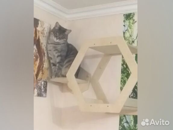 Комплекс для кошек 