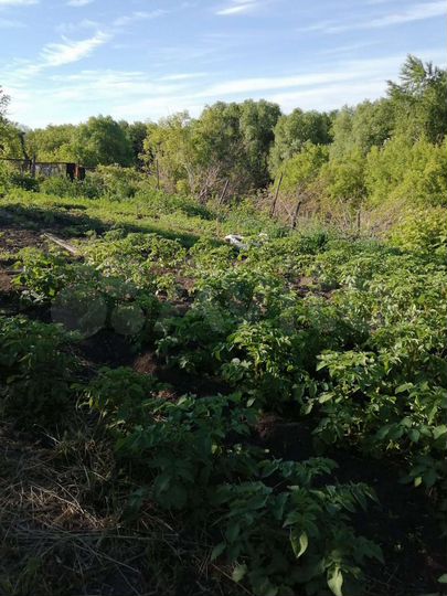 Участок 3,3 сот. (ИЖС)