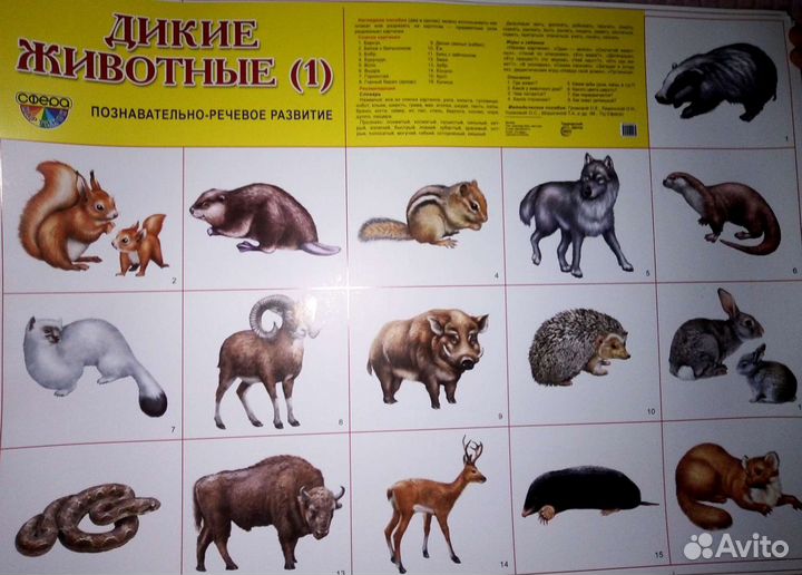 Плакаты обучающие