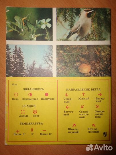 Дневник наблюдений СССР 3 класс 1989г