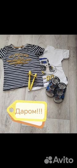 Отдам бесплатно