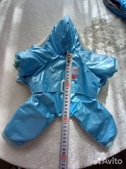 Комбинезон и куртка для собак