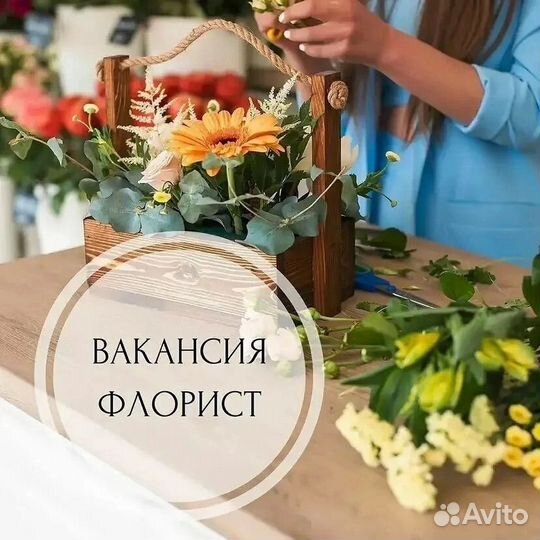 Помощник флориста,флорист