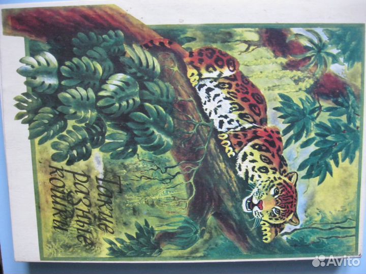 Спичечные этикетки, коробки и наборы