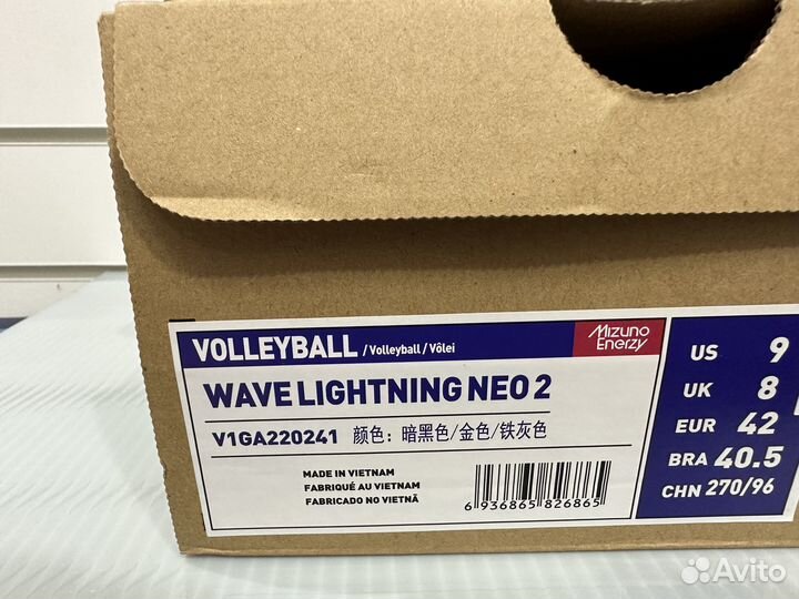 Кроссовки волейбольные Mizuno Wave Lightning Neo 2