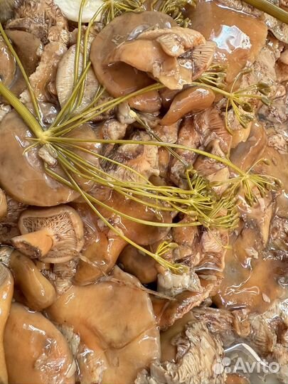 Грибы рыжики соленые