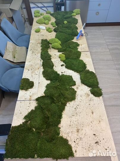 Вертикальное озеленение