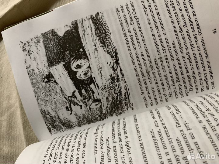 Книга «Сын полка»