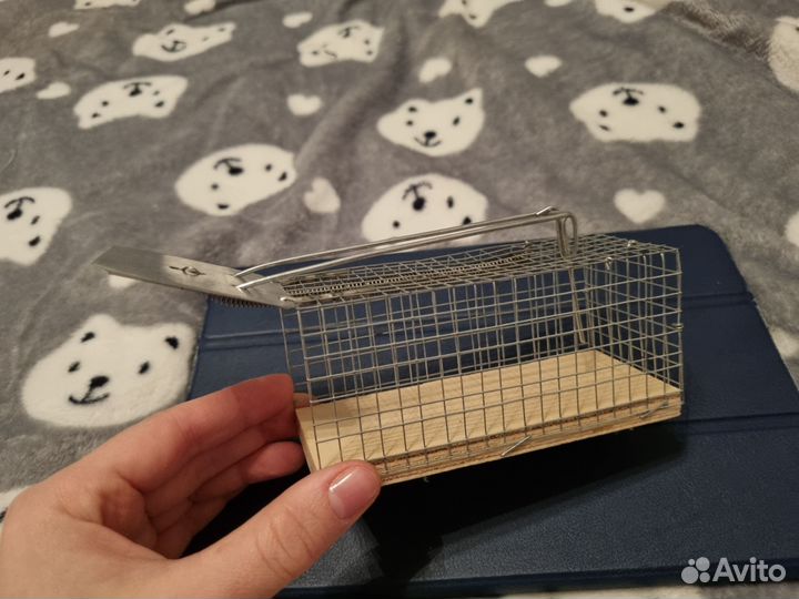 Мышеловка гуманная