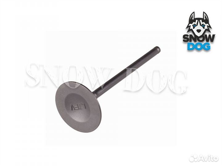 Клапан впускной Cfmoto X6/Z6 0600-022004