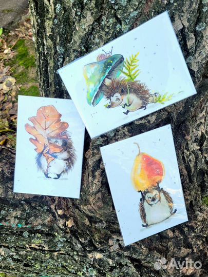 Живая открытка / открытка с семенами