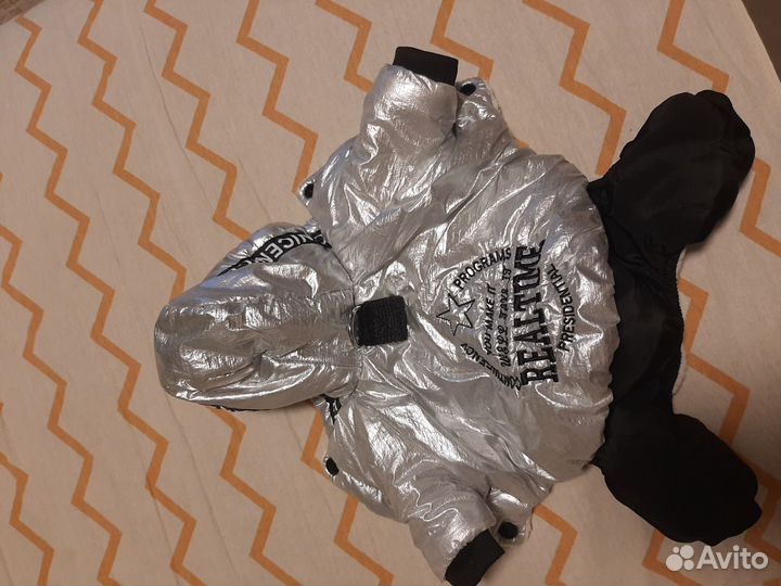 Комбинезон для чихуахуа на зиму. S