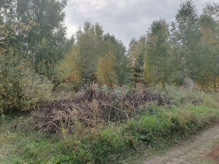 Участок 15 сот. (ИЖС)