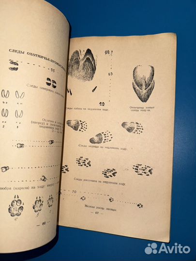 Книга Спортивная охота и рыболовство