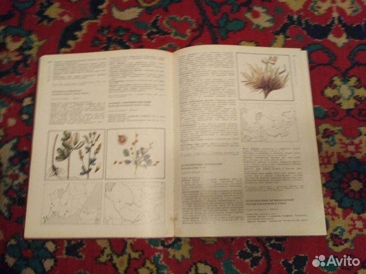 Красная книга СССР