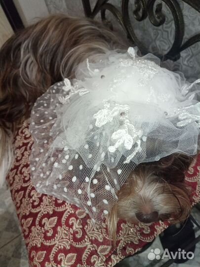 Шляпка- вуалетка, б/у
