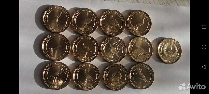 Турция Птицы 1 куруш 2020/2021 и др юбилейные мон