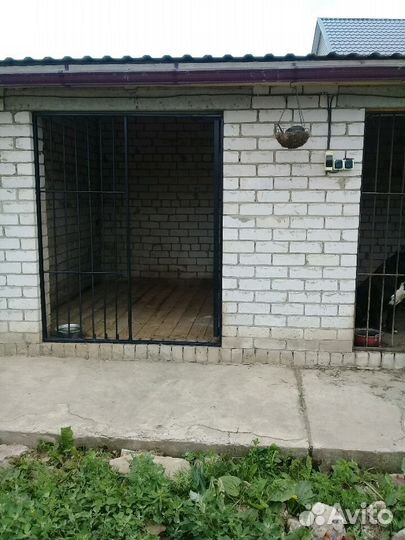 Гостиница для собак