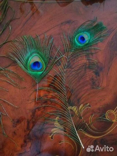 Перо павлина
