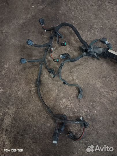 Жгут проводов двс HM01(EB2F) Peugeot/Citroen