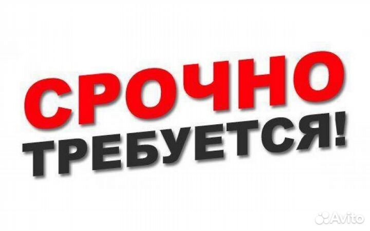 Продавец консультант ТК Ребус, Кингисепп