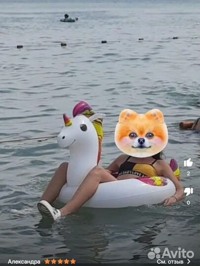 Надувной единорог/Пегас