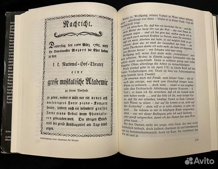 Mozart:Triumph und frühes Ende. Rosmarie Mann