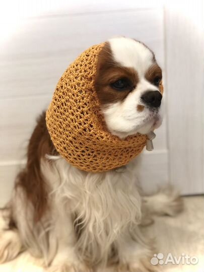 Шапка снуд для собак (спаниелей)