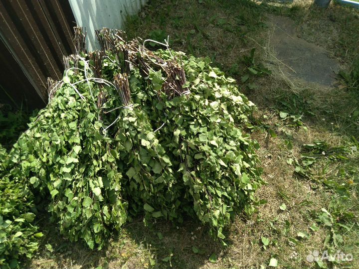 Березовые веники