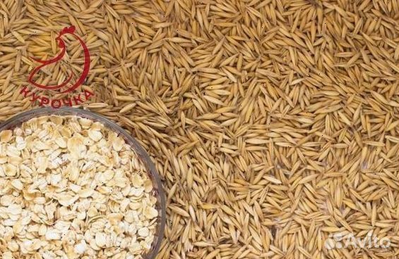 Овес в мешках